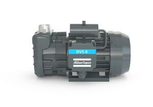 DVS 8