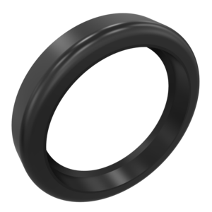 Oil Seal (Viton)